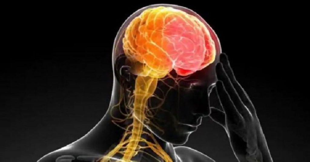 brain