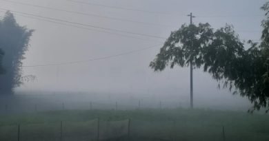 তাপমাত্রা