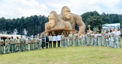 Rwanda Names 22 Baby Mountain Gorillas